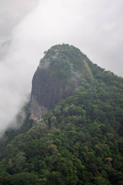 Tijuca Ormanı, Rio de Janeiro, Brezilya 'daki yeşil kayalık yağmur ormanlarının güzel manzarası