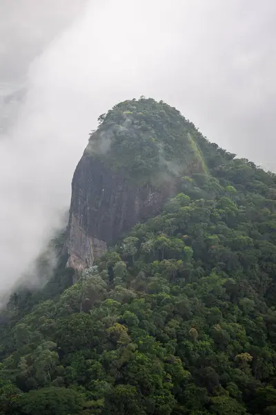 Мбаппе Вид Зеленую Скалистую Гору Лесу Тижука Рио Жанейро Бразилия — стоковое фото