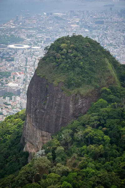 Tijuca Ormanı Rio Janeiro Brezilya Daki Yeşil Kayalık Yağmur Ormanlarının — Stok fotoğraf