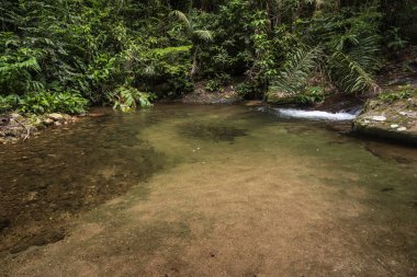 Yeşil yağmur ormanlarındaki güzel şelale ve nehir havuzu Tijuca Parkı, Rio de Janeiro, Brezilya