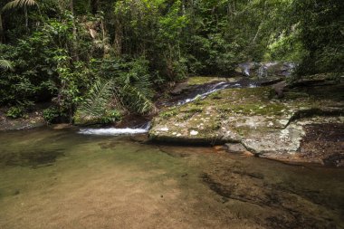 Yeşil yağmur ormanlarındaki güzel şelale ve nehir havuzu Tijuca Parkı, Rio de Janeiro, Brezilya