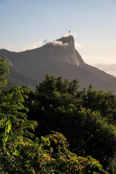 Pemandangan Indah Dari Vista Chinesa Gunung Corcovado Taman Tijuca Rio — Stok Foto