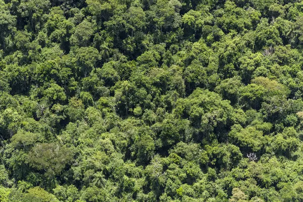 Hermosa Vista Aérea Selva Verde Cerca Las Cataratas Del Iguazú — Foto de Stock