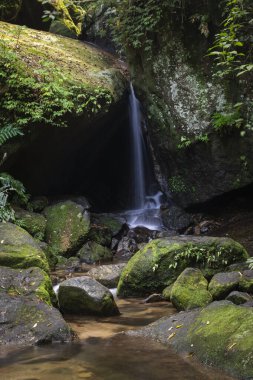 Yeşil Atlantik yağmur ormanlarındaki mağara girişinde şelale, Tijuca Park, Rio de Janeiro, Brezilya