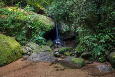 Yeşil Atlantik yağmur ormanlarındaki mağara girişinde şelale, Tijuca Park, Rio de Janeiro, Brezilya