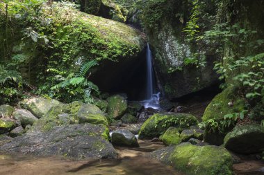 Yeşil Atlantik yağmur ormanlarındaki mağara girişinde şelale, Tijuca Park, Rio de Janeiro, Brezilya