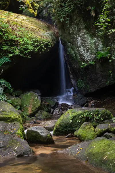 Cascada Entrada Cueva Verde Selva Atlántica Parque Tijuca Río Janeiro Imágenes De Stock Sin Royalties Gratis