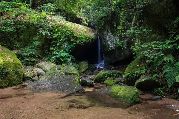 Cascada Entrada Cueva Verde Selva Atlántica Parque Tijuca Río Janeiro Fotos De Stock