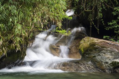 Taşlı ve yeşil yağmur ormanlı güzel şelale, Serrinha do Alambari, Mantiqueira Dağları, Rio de Janeiro, Brezilya