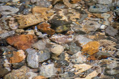 Serrinha do Alambari, Mantiqueira Dağları, Rio de Janeiro, Brezilya