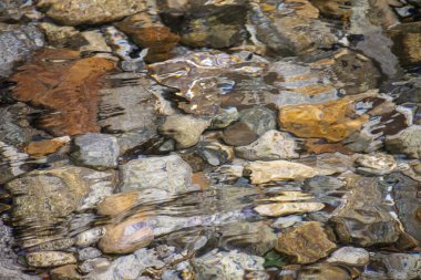 Serrinha do Alambari, Mantiqueira Dağları, Rio de Janeiro, Brezilya
