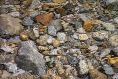 Serrinha do Alambari, Mantiqueira Dağları, Rio de Janeiro, Brezilya