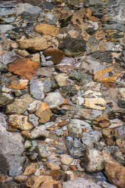 Serrinha do Alambari, Mantiqueira Dağları, Rio de Janeiro, Brezilya
