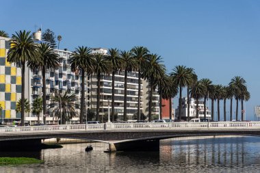 Şili, Via del Mar 'daki şehir binaları, nehir ve palmiye ağaçları 