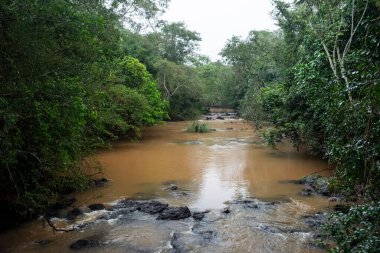 Iguacu Nehri, Iguazu Şelalesi yakınlarında çamurlu su, Brezilya ve Arjantin sınırı. 