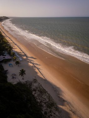 Brezilya 'nın Rio Grande do Norte eyaletinde, Pipa' daki vahşi plajda hindistan cevizi palmiye ağaçlarına güzel bir hava manzarası