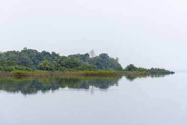 Anavilhanas, Novo Airo, Amazonlar, Brezilya 'daki yeşil Amazon yağmur ormanlarına güzel manzara 