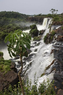 Brezilya ve Arjantin sınırındaki Iguau Şelaleleri 'nin güzel manzarası 