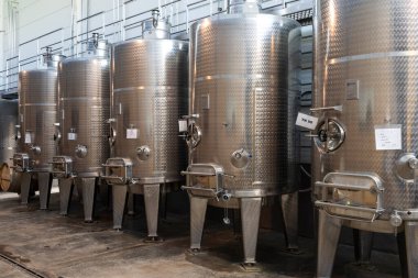 Casas del Bosque Şaraphanesi, Casablanca Vadisi, Santiago, Şili yakınlarında.