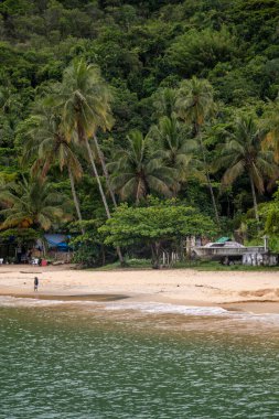 Ilha Grande 'deki Palmas Plajı, Rio de Janeiro, Brezilya