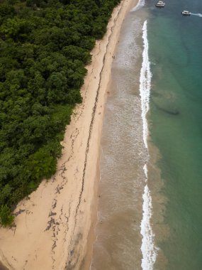 Parnaioca sahili ve yeşil yağmur ormanları, Ilha Grande, Rio de Janeiro, Brezilya