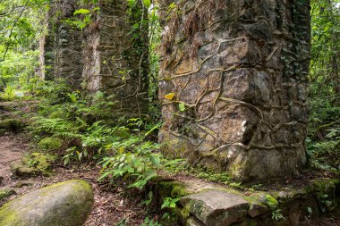 Eski tarihi Lazareto Aqueduct Ilha Grande, Rio de Janeiro, Brezilya