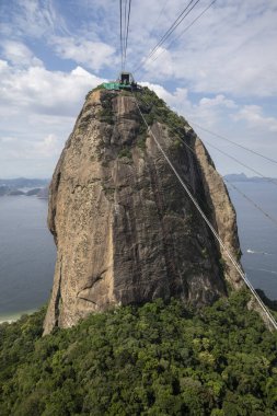 Sugar Loaf teleferiğinden okyanusa ve yeşil yağmur ormanlarına, Rio de Janeiro, Brezilya