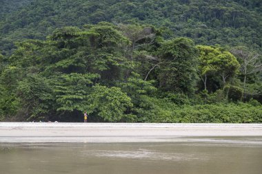 Vahşi Dois Rios Sahili, Ilha Grande, Rio de Janeiro, Brezilya