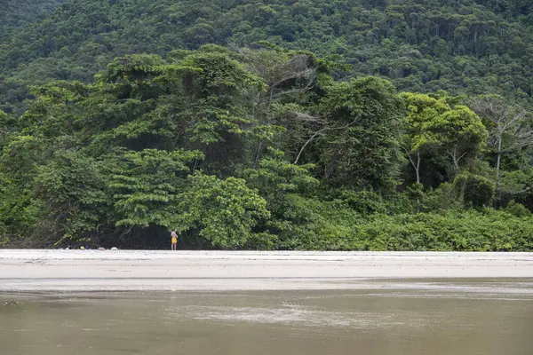 Vahşi Dois Rios Sahili, Ilha Grande, Rio de Janeiro, Brezilya