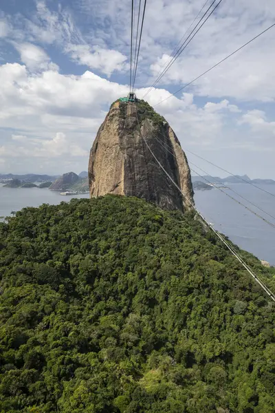 Sugar Loaf teleferiğinden okyanusa ve yeşil yağmur ormanlarına, Rio de Janeiro, Brezilya