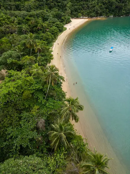 Ilha Grande, Rio de Janeiro, Brezilya 'daki yeşil yağmur ormanlarının ve zümrüt sularının güzel hava manzarası