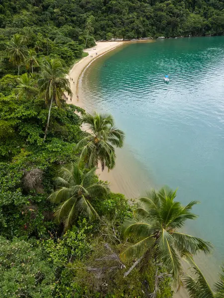 Ilha Grande, Rio de Janeiro, Brezilya 'daki yeşil yağmur ormanlarının ve zümrüt sularının güzel hava manzarası