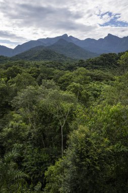 ReGUA, Rio de Janeiro, Brezilya 'da dağları olan güzel yeşil yağmur ormanları