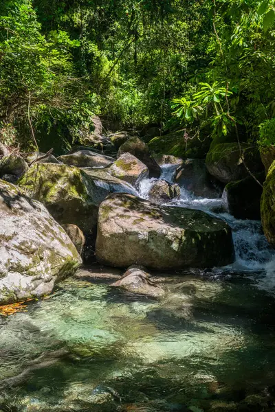 Serrinha do Alambari, Rio de Janeiro, Brezilya kristal berrak yeşil su ile güzel yağmur ormanı nehir havuzu görüntüsü