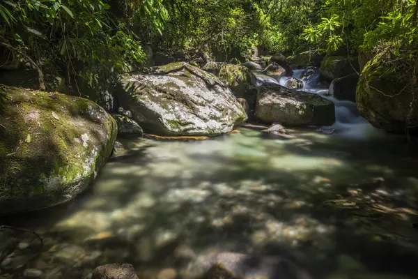 Serrinha do Alambari, Rio de Janeiro, Brezilya kristal berrak yeşil su ile güzel yağmur ormanı nehir havuzu görüntüsü