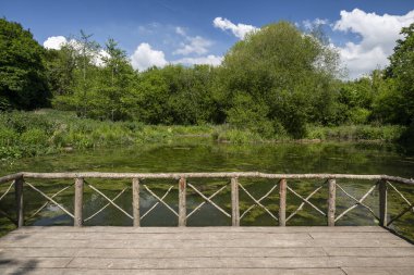 İngiltere, Arundel 'deki ortaçağ tarihi şatosunda su bahçesi.