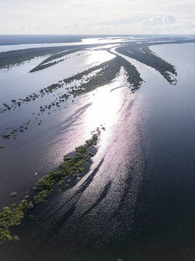 Negro River, Anavilhanas Takımadaları, Amazonlar, Brezilya 'daki yeşil adalara güzel hava manzarası