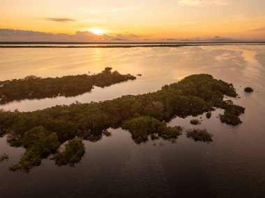 Negro River, Amazonas, Brezilya 'daki Anavilhanas Takımadaları' nın güzel hava manzarası