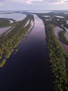 Negro River, Anavilhanas Takımadaları, Amazonlar, Brezilya 'daki yeşil adalara güzel hava manzarası