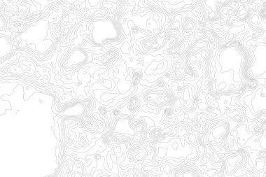 Topografik harita kontur arka plan. Topo harita yükseklik ile. Kontur harita vektör. Coğrafi dünya topografik harita kılavuz soyut .