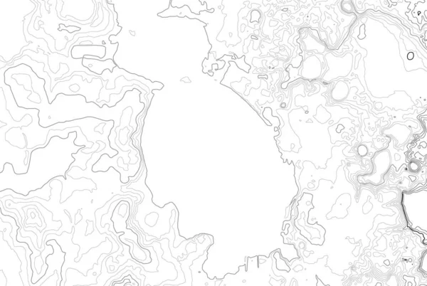 地形図の等高線背景 高度の等高線 等高線のベクトル 地理世界の地形マップ グリッド抽象 — ストックベクタ