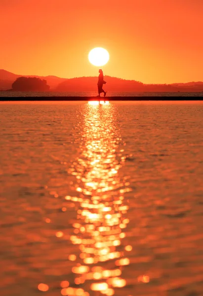 Silhouette Woman Walking Alone Beach Sunset — Stock Photo, Image