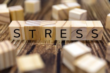 Stres. Tahta bloklardan harflerle gelen bir söz. Zor bir durumdan kaynaklanan büyük endişe.
