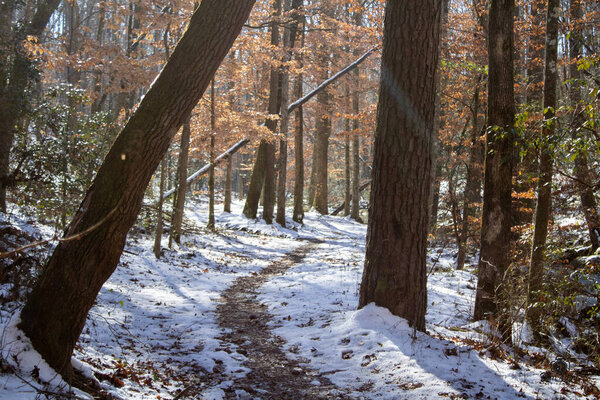 Alabama snowy wilderness with hiking trails along side a running brook late winter 