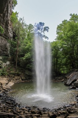 Uçurumları ve yemyeşil bitkileri olan Tennessee Şelaleleri