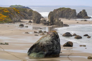101. Otoyol 'dan Oregon Sahili' nde engebeli uçurumlar, ikonik deniz yığınları, geniş plajlar ve Pasifik Okyanusu 'na ulaşan yemyeşil ormanlar sergileniyor. Nefes kesici manzaralı bir sürüş.