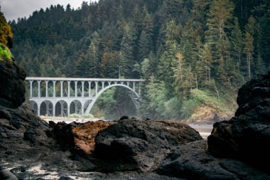 Heceta Head State Park 'taki tarihi metal köprü manzaralı erişim sağlıyor. Bu ikonik çelik yapı, yıpranmış bir dönüm noktası, ziyaretçileri Oregon Sahili deneyiminin hayati bir parçası olan sahil güzelliğine ve deniz fenerine yönlendiriyor..