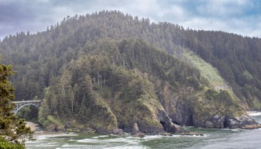 Heceta Head State Park 'taki tarihi metal köprü manzaralı erişim sağlıyor. Bu ikonik çelik yapı, yıpranmış bir dönüm noktası, ziyaretçileri Oregon Sahili deneyiminin hayati bir parçası olan sahil güzelliğine ve deniz fenerine yönlendiriyor..