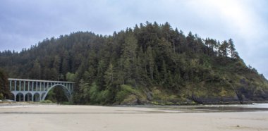 Heceta Head State Park 'taki tarihi metal köprü manzaralı erişim sağlıyor. Bu ikonik çelik yapı, yıpranmış bir dönüm noktası, ziyaretçileri Oregon Sahili deneyiminin hayati bir parçası olan sahil güzelliğine ve deniz fenerine yönlendiriyor..