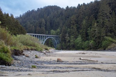Oregon 'daki Heceta Head State Park' ta Pasifik Okyanusu 'na bakan dramatik uçurumların tepesinde ikonik bir deniz feneri bulunur. Kumlu plajları ve kayalık sahilleri keşfedin. Pasifik Okyanusu manzarası için kıyı ormanlarından esen rüzgar manzaralı patikalar.. 